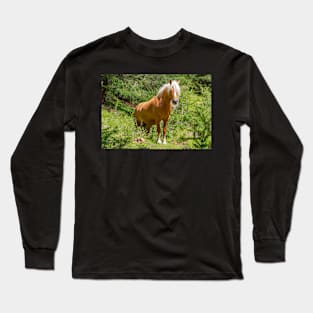 Horse in the Forest Long Sleeve T-Shirt